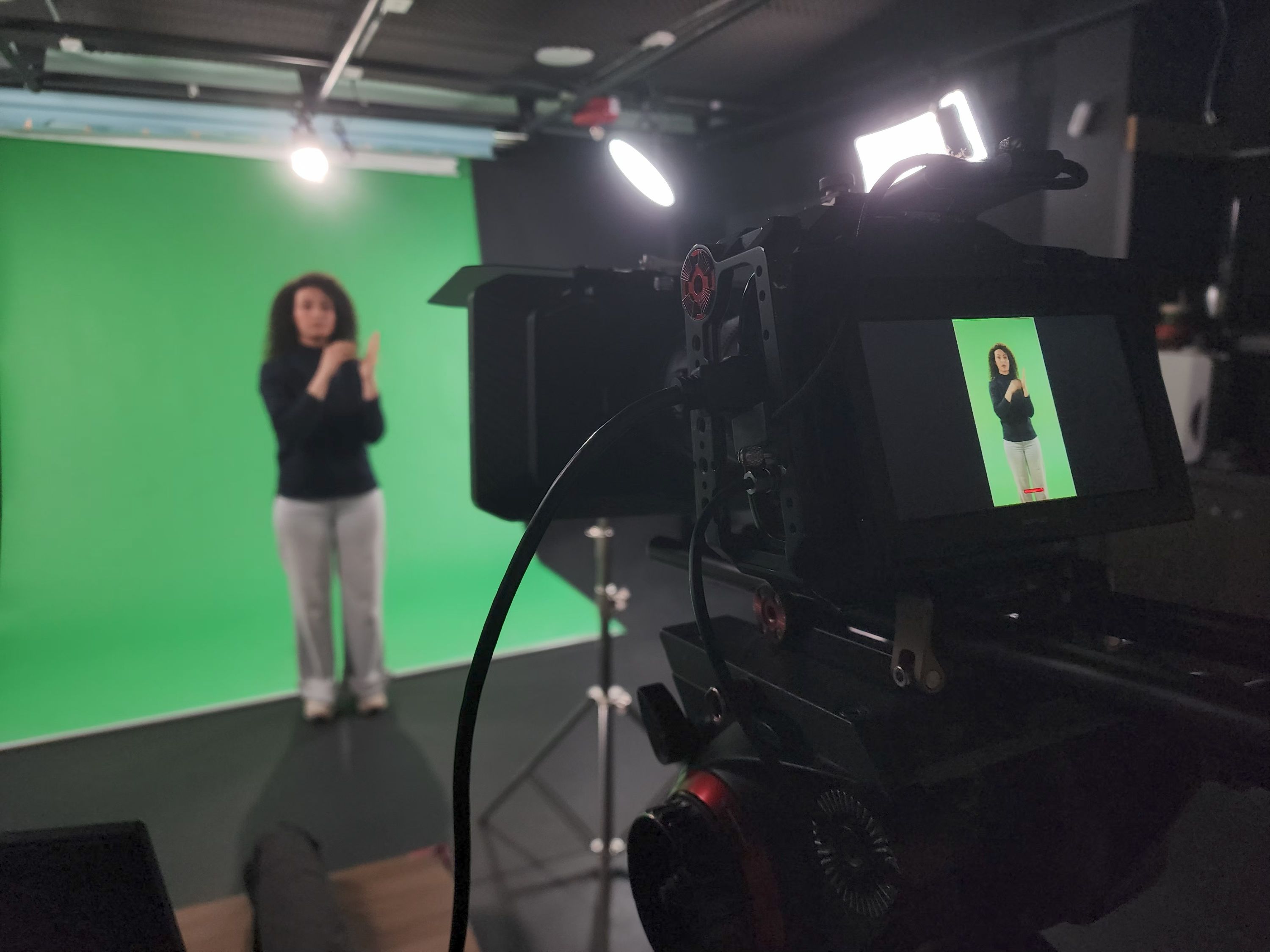 A sign-language interpreter filmed against the studio green screen